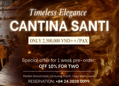 Italian Wine Masterpieces by Cantina Santi – A Heritage Icon Since 1843